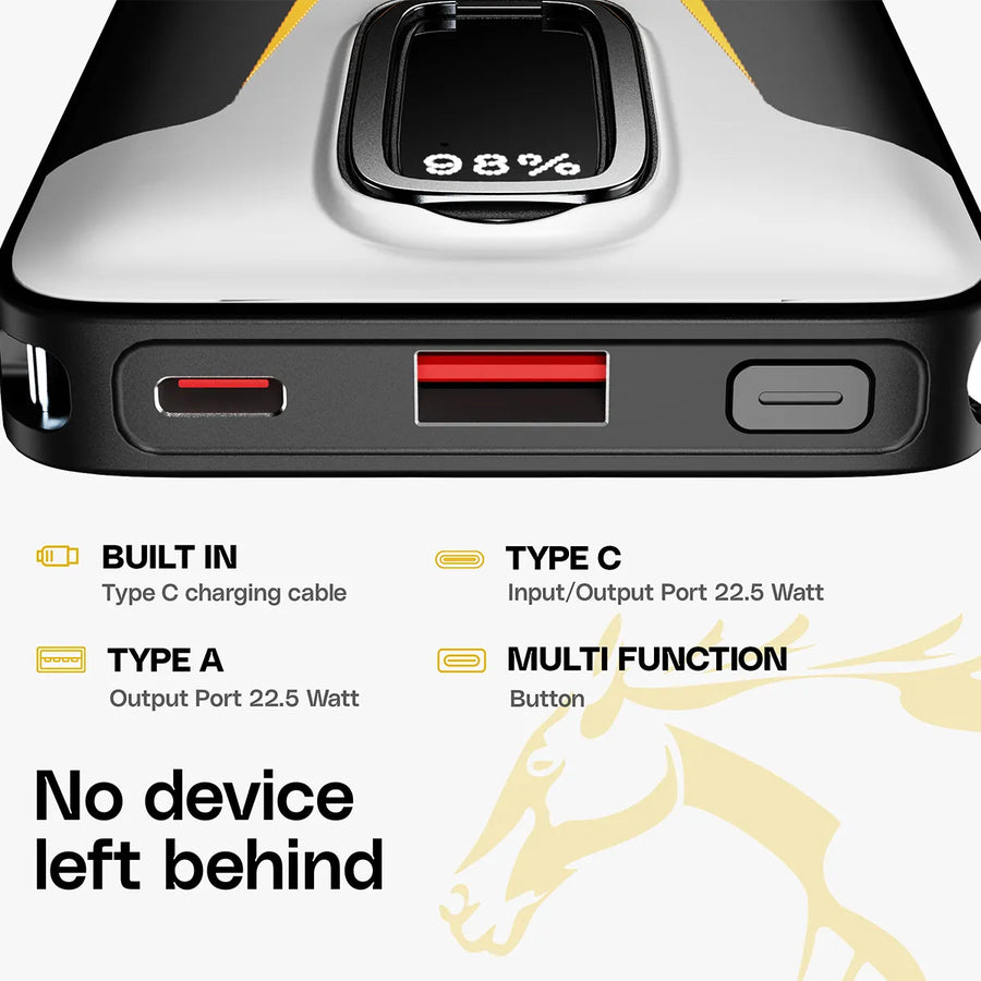Mustang AmpVault V10 Powerbank