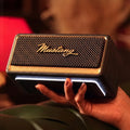 Mustang GT 20 Speaker