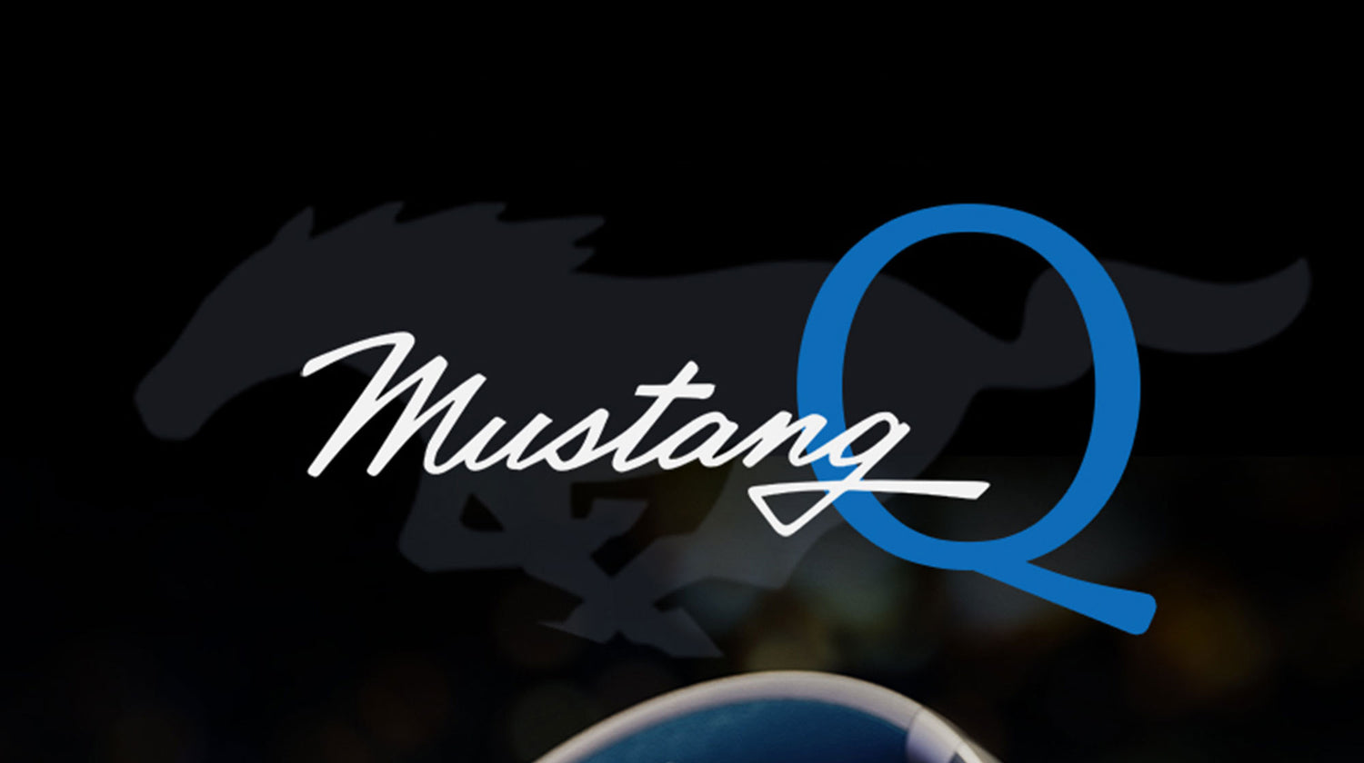 Boult Mustang Q Bluetooth Headphones with 40mm Boosted Drivers 